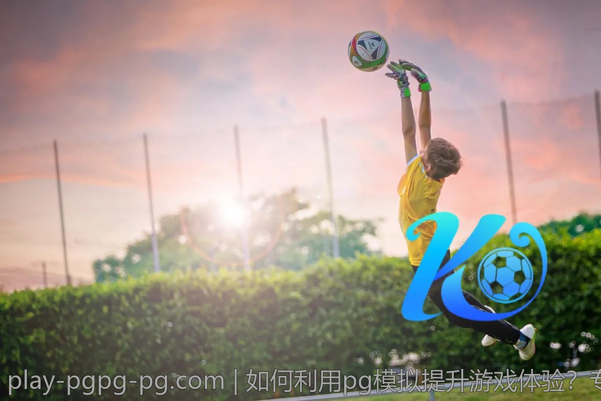 如何利用pg模拟提升游戏体验？专家分享实用技巧