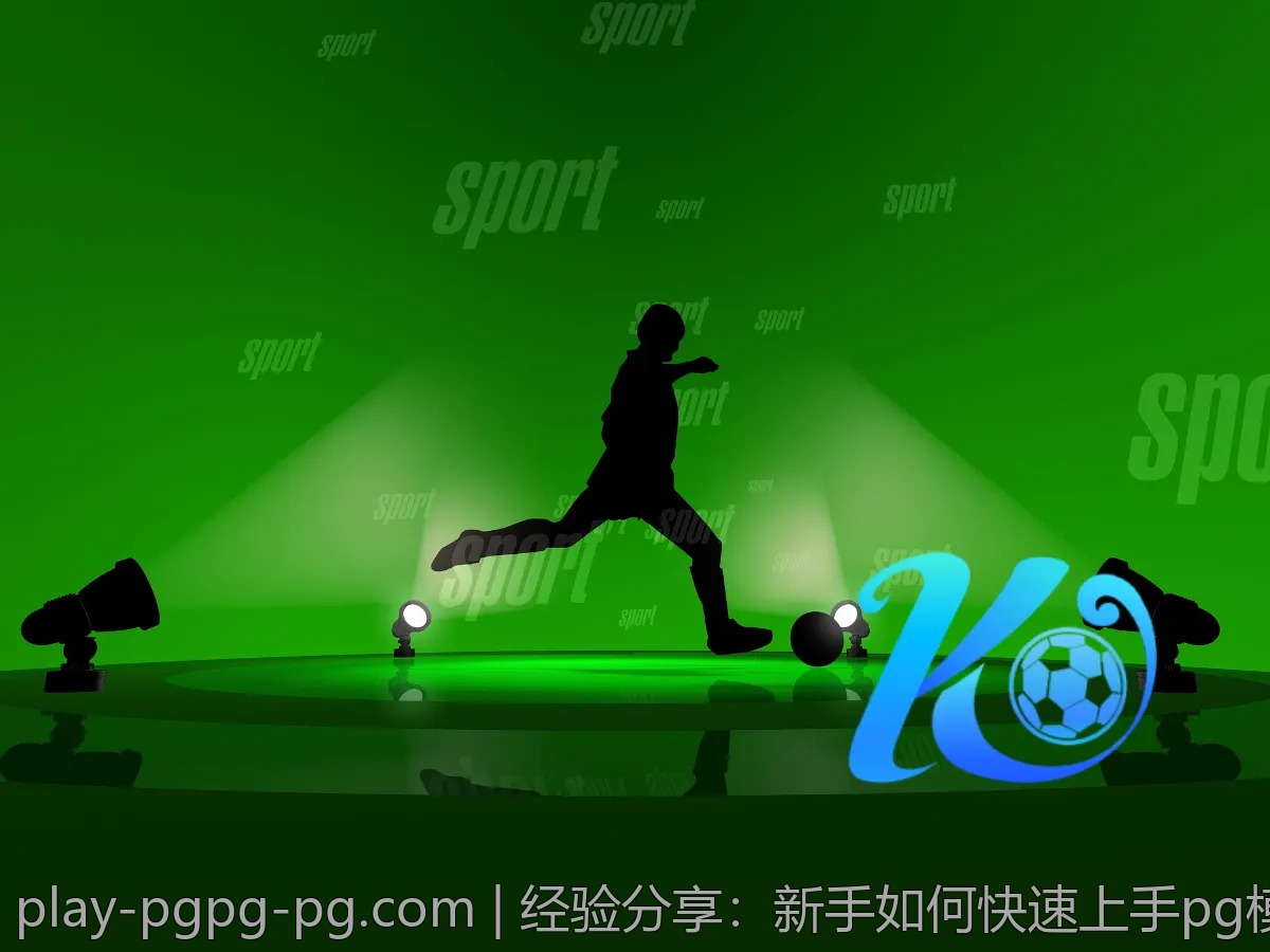 经验分享：新手如何快速上手pg模拟？